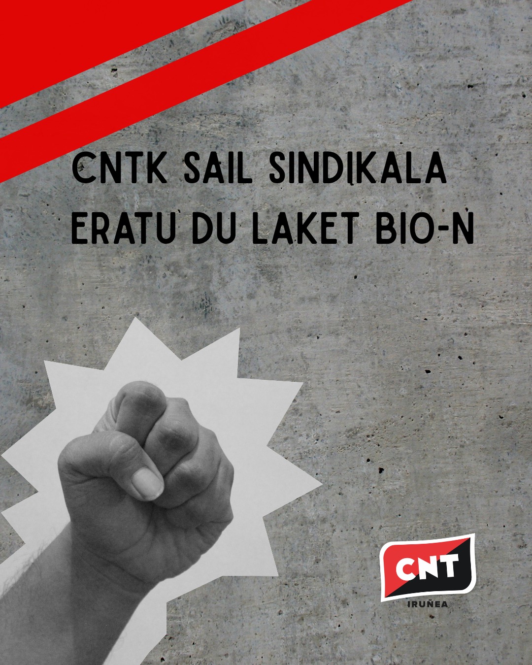 Hormigoizko hondo baten gainean, altxatutako eskumutur bat, kanpoko ebakin zuri batekin eta esaldi honekin: "CNT sekzio sindikala da Laket Bio-n". Goian ezkerrean, bi zerrenda gorri diagonalean gurutzatzen. Behean eskuinean, CNT Iruñearen logotipoa.